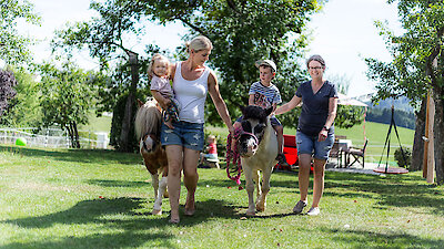 Ponyreiten - Ferienhof im Bayerwald